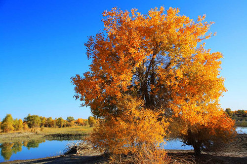 饮水安全改扩建工程