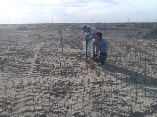 龙源巴里坤三塘湖风电场三期